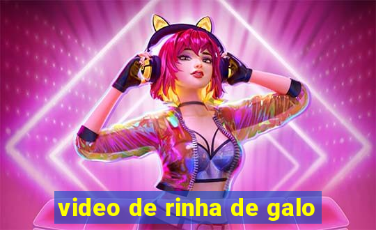 video de rinha de galo